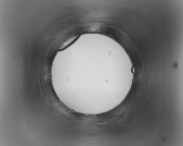 X0000115201442200911251432