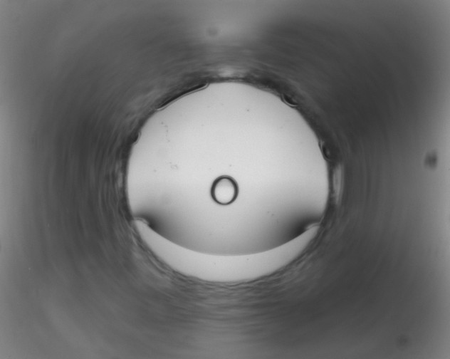 X0000115201443200911251432