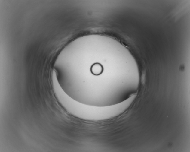 X0000115201444200911251431