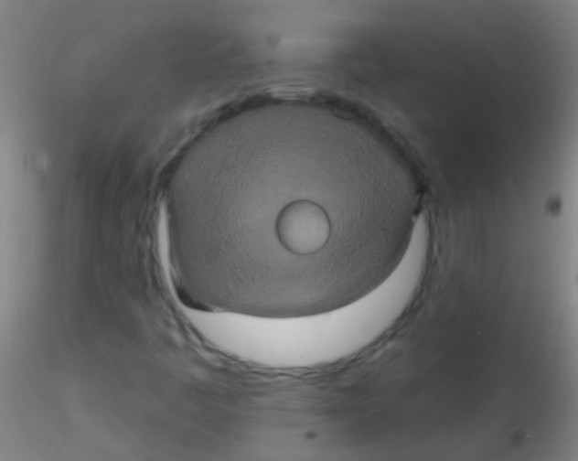 X0000115201445200911251431