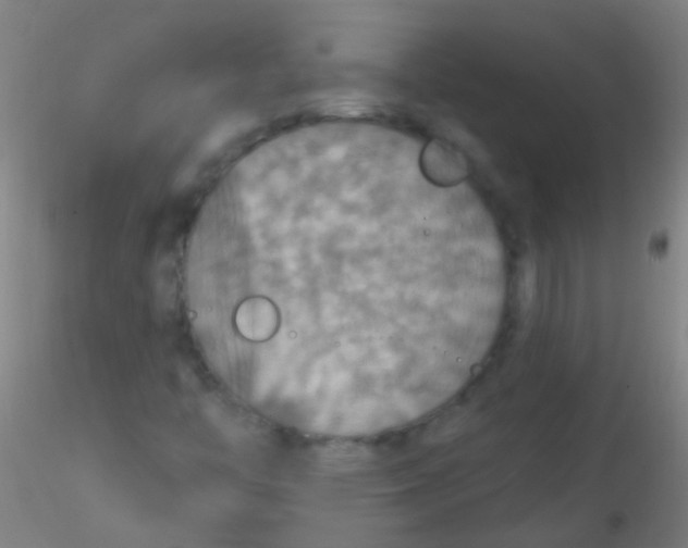 X0000115201446200911251431