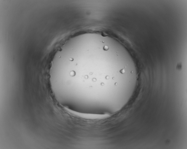 X0000115201447200911251431