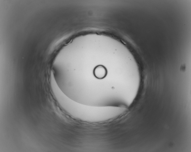 X0000115201448200911251431