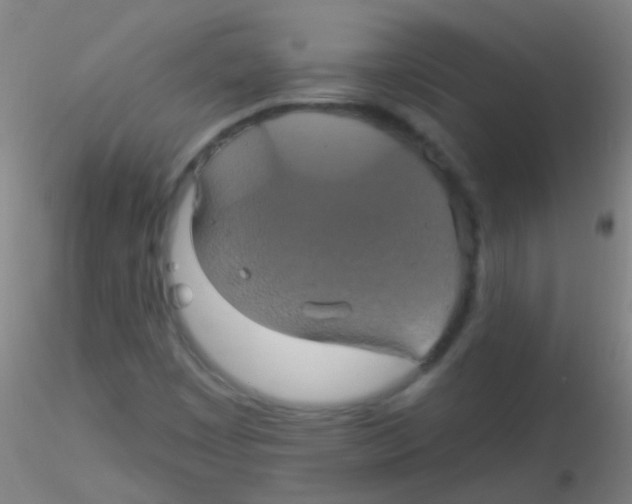 X0000115201449200911251431