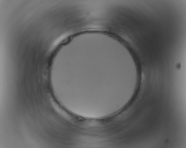 X0000115201450200911251431