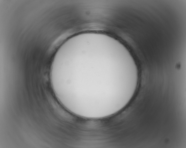 X0000115201451200911251431