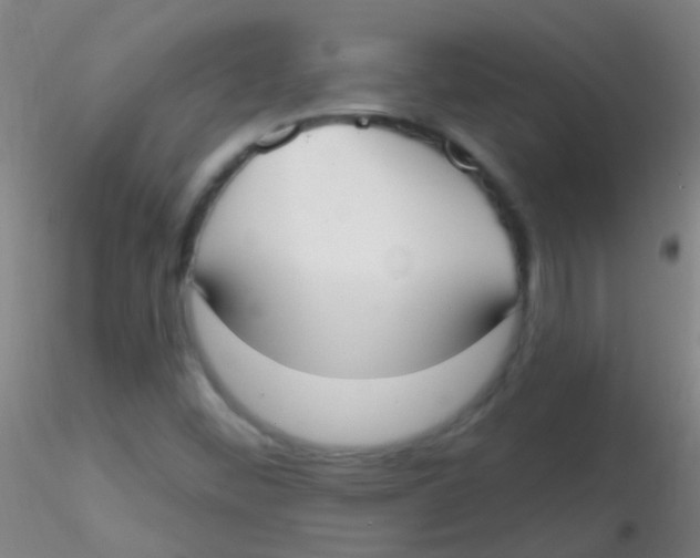 X0000115201452200911251431