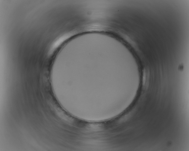 X0000115201453200911251431