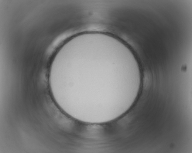 X0000115201454200911251431
