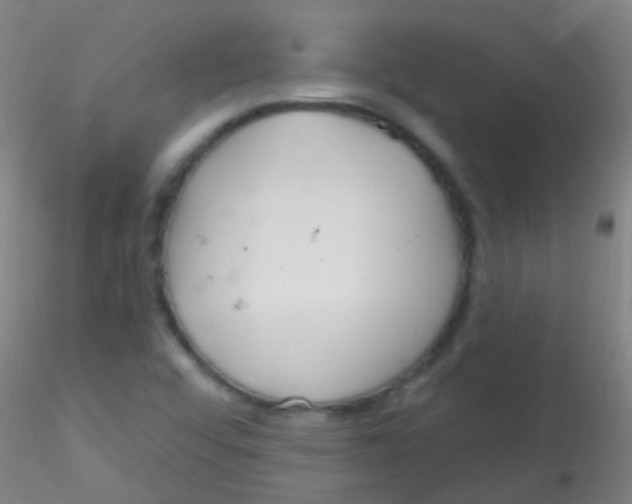 X0000115201456200911251431