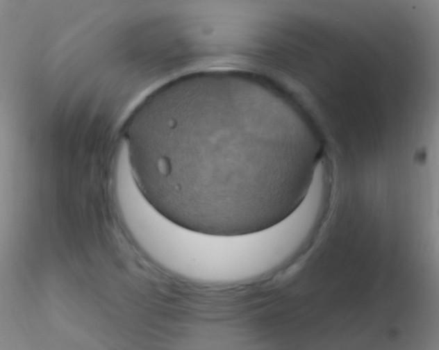 X0000115201457200911251431