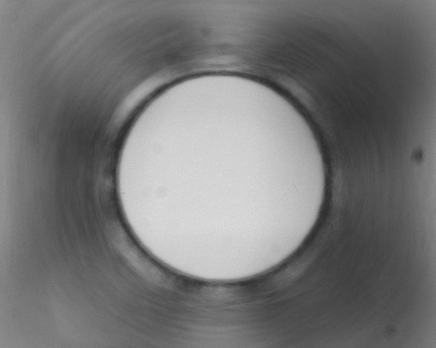 X0000115201458200911251431