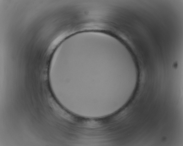 X0000115201459200911251431