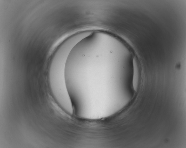 X0000115201460200911251431