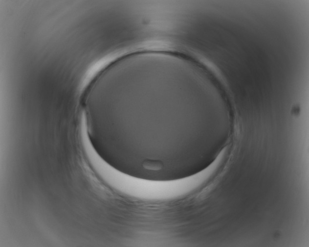 X0000115201461200911251431