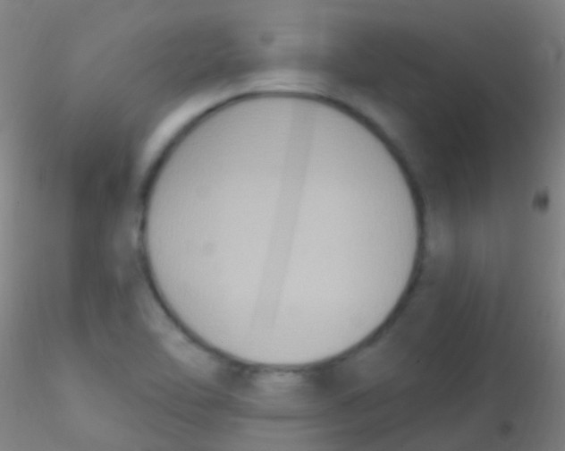 X0000115201462200911251431