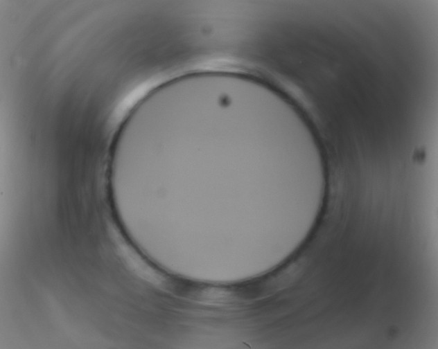 X0000115201463200911251431