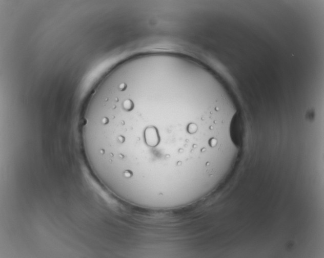 X0000115201464200911251431