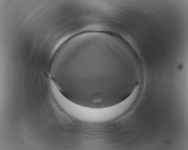 X0000115201465200911251431