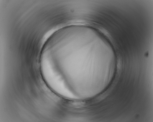 X0000115201466200911251431