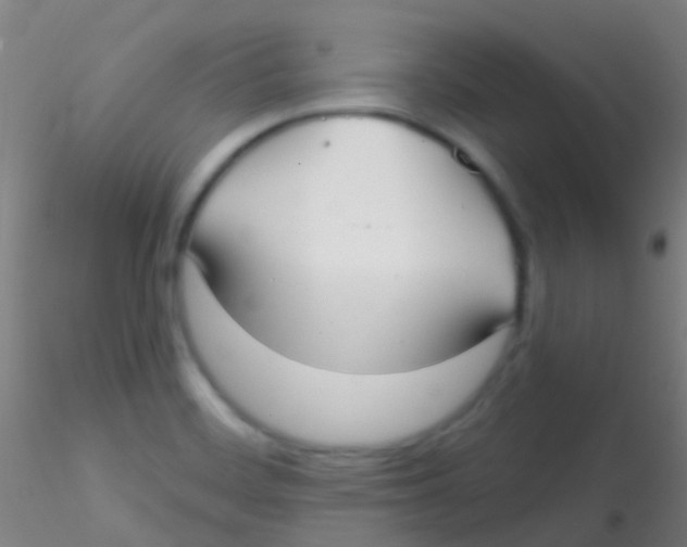 X0000115201468200911251431