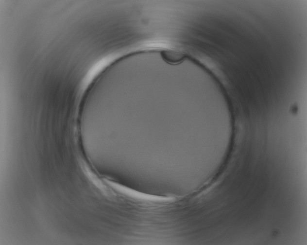 X0000115201469200911251431