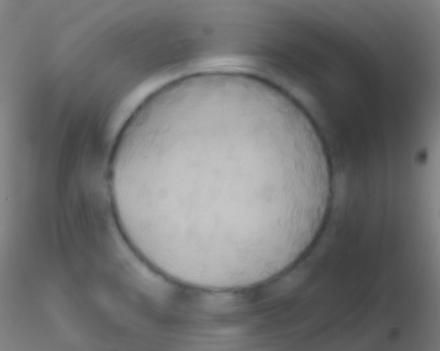 X0000115201470200911251431