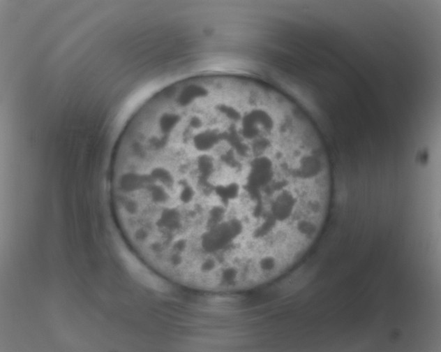 X0000115201471200911251431