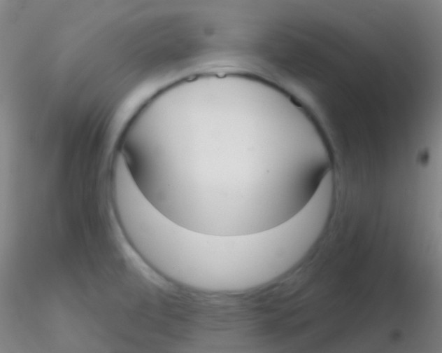 X0000115201472200911251431