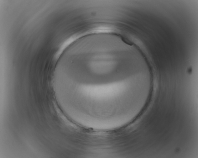 X0000115201473200911251431