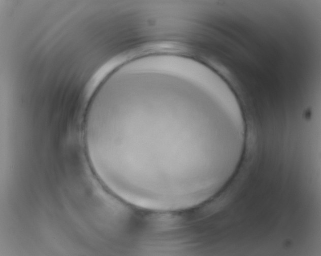 X0000115201474200911251431