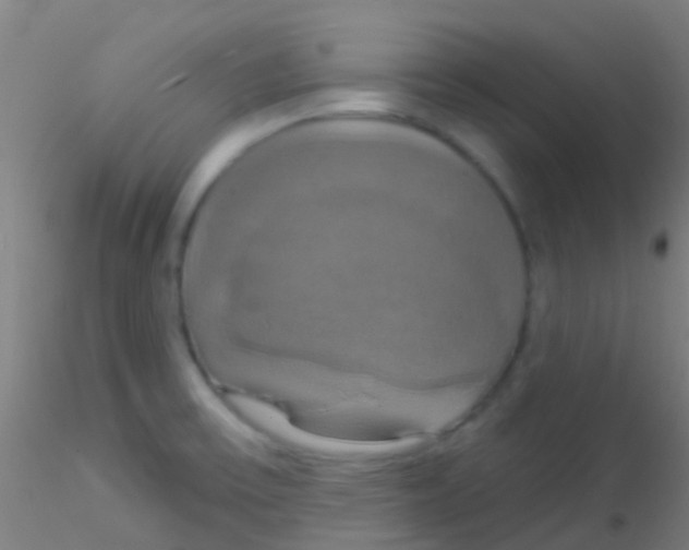 X0000115201475200911251431