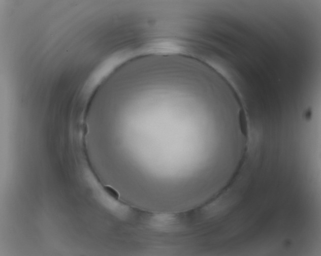 X0000115201477200911251431