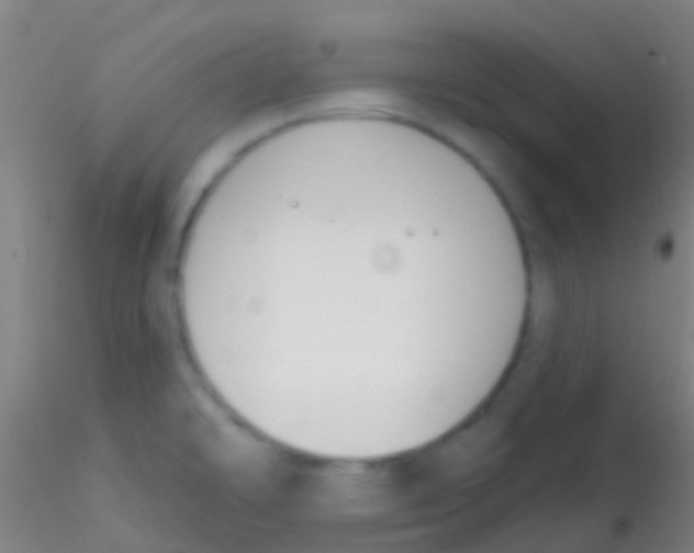 X0000115201478200911251431