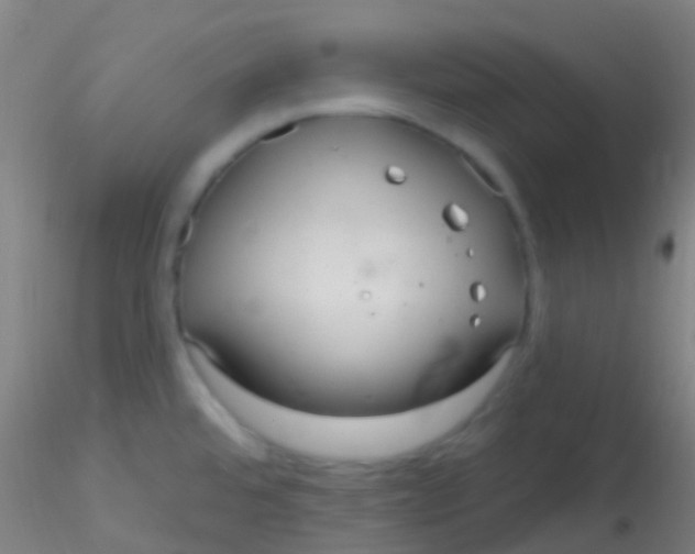X0000115201480200911251431