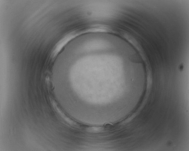 X0000115201481200911251431