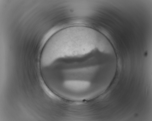 X0000115201482200911251431