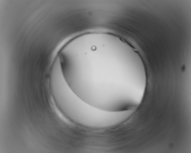 X0000115201484200911251431