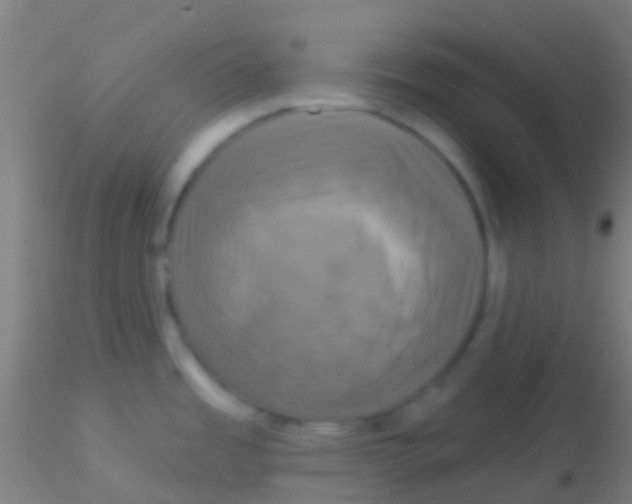 X0000115201485200911251431