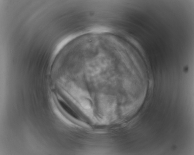 X0000115201487200911251431