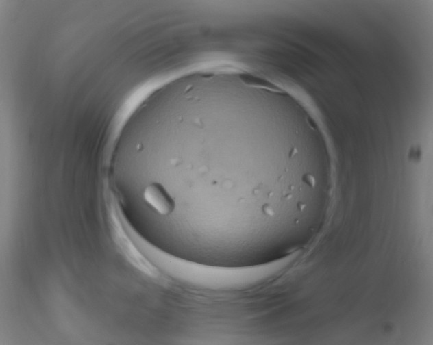 X0000115201488200911251431