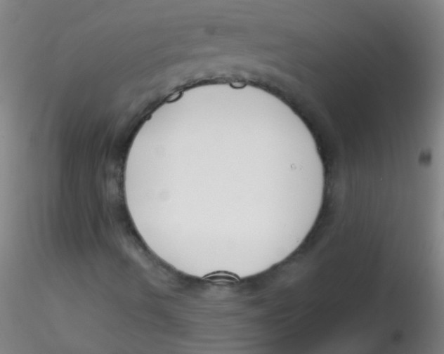 X0000115201490200911251430