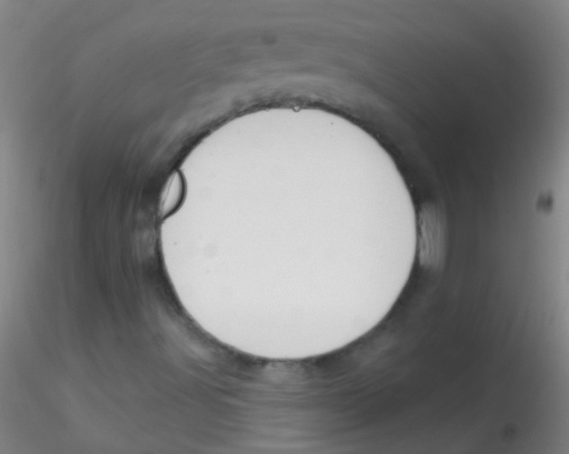 X0000115201491200911251430