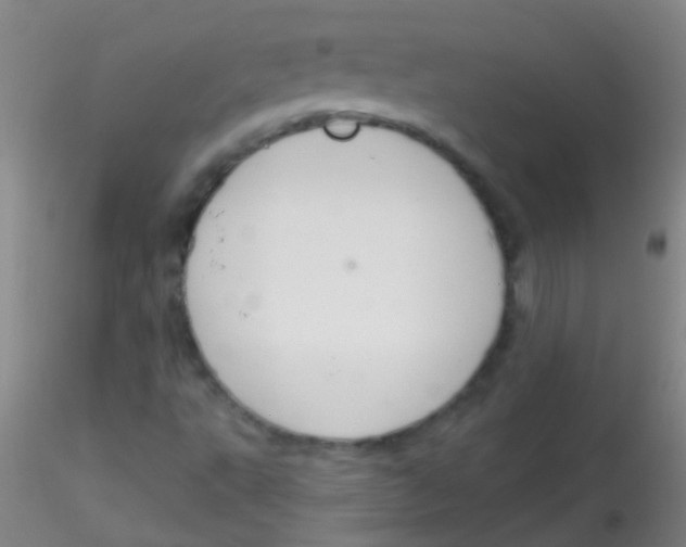 X0000115201495200911251430