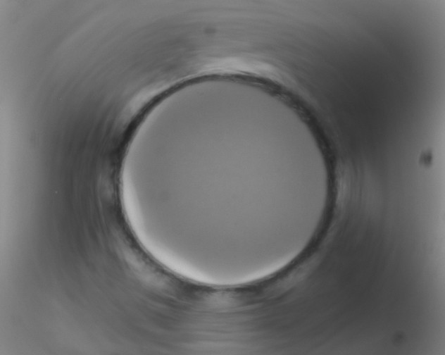 X0000115201497200911251430