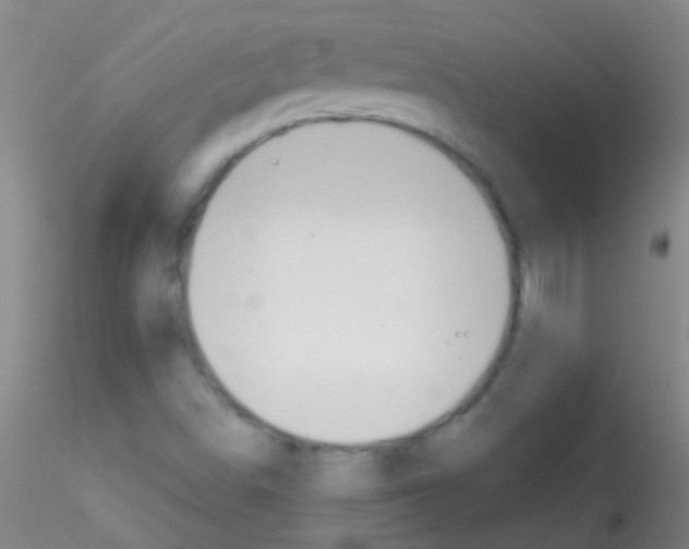 X0000115201498200911251430