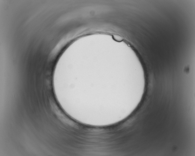 X0000115201499200911251430
