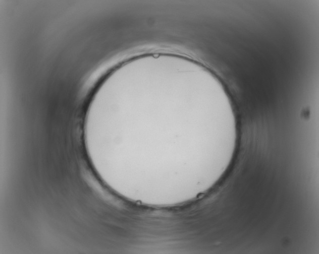 X0000115201503200911251430