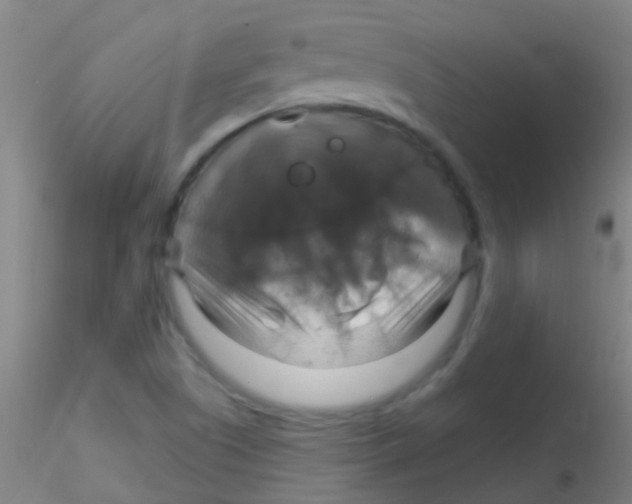 X0000115201505200911251430