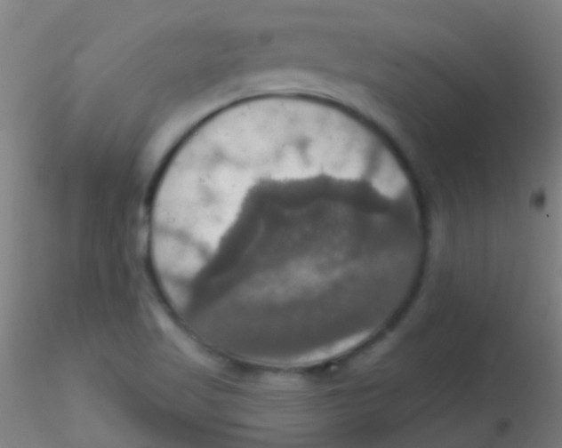 X0000115201509200911251430